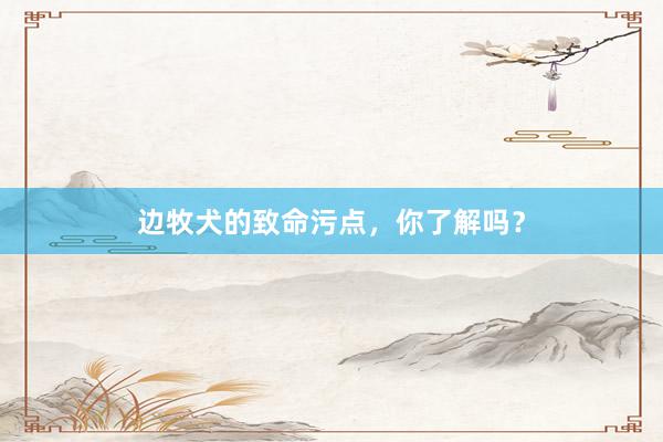 边牧犬的致命污点，你了解吗？